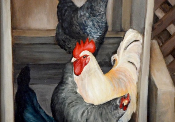 Chickens from Harbison Canyon