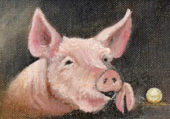 Daisy the Pig and the Pearl