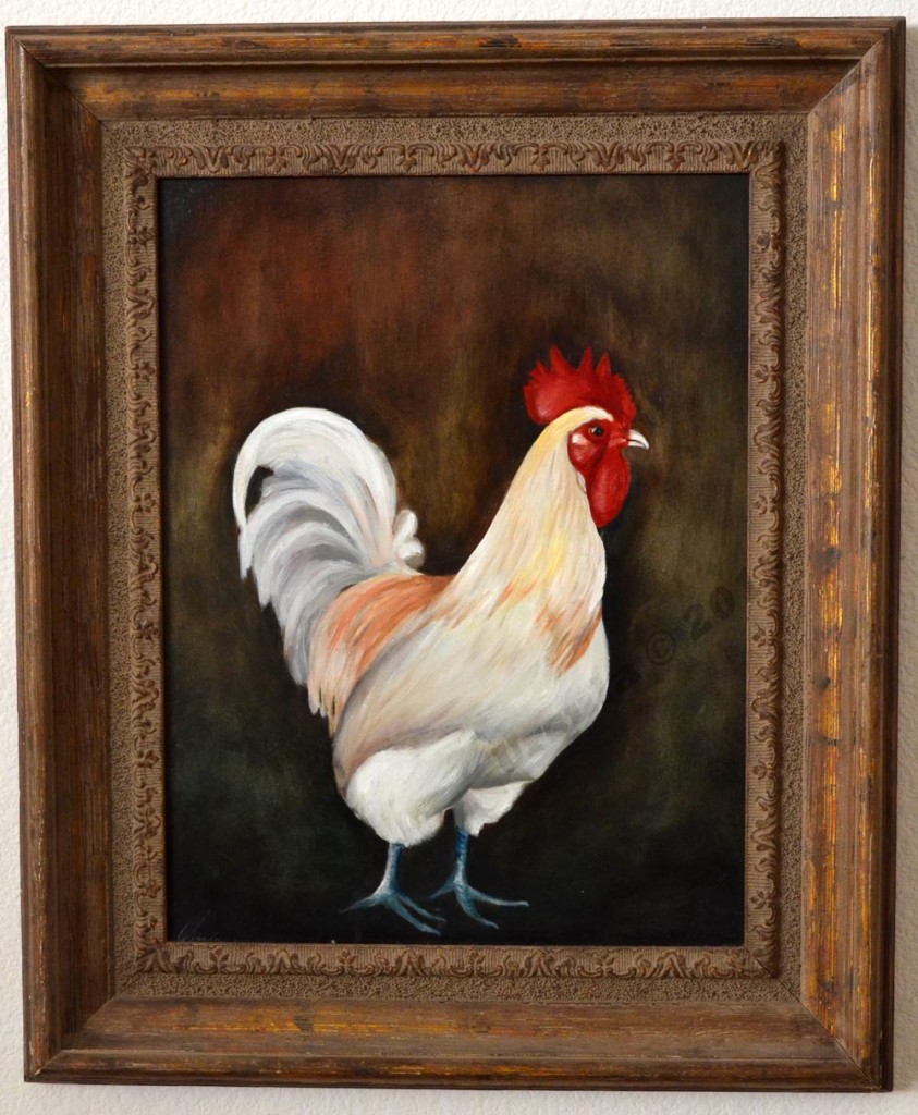 Animals_2015_18-frame