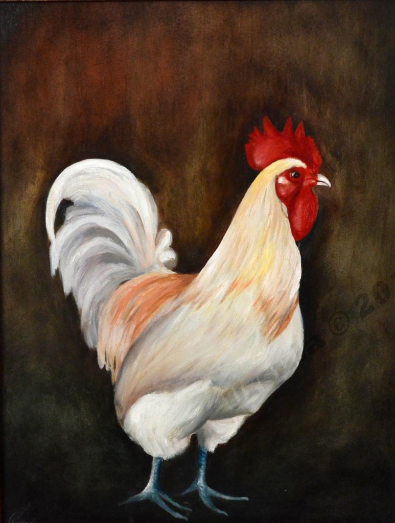 Animals_2015_18-noframe