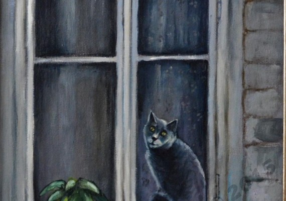 Kitty in a Window