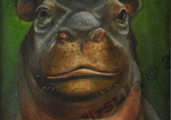Hippo