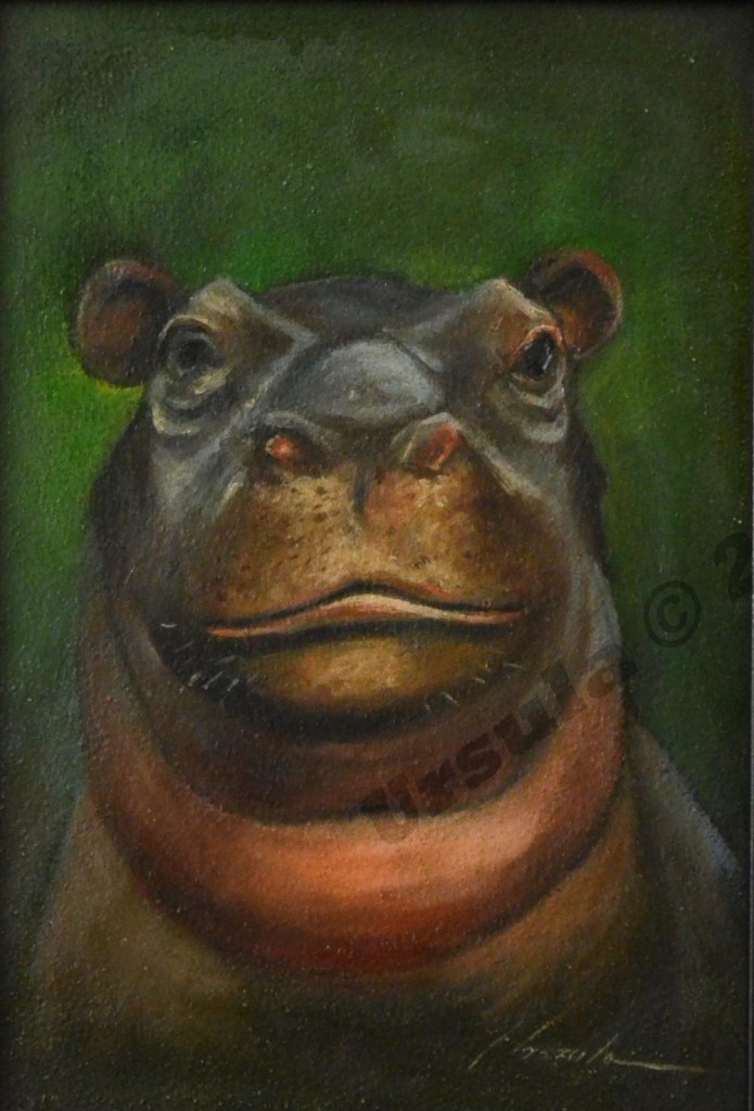 Animals_2015_28-noframe