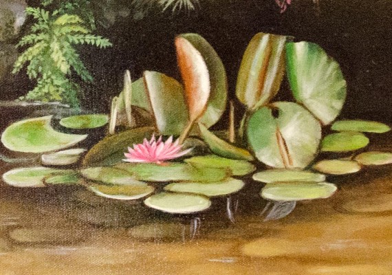 Pond with Pink Flower in Canada