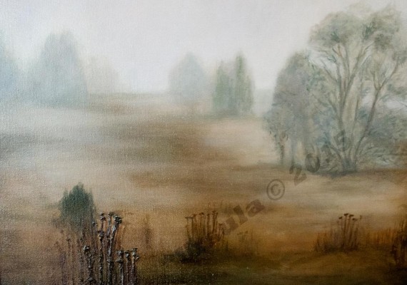 Misty Marsh in Canada